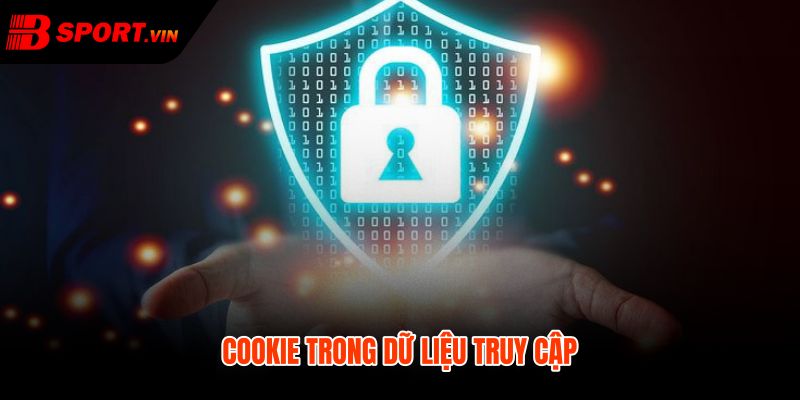 Cookie truy cập trong chính sách bảo mật và an toàn phiên
